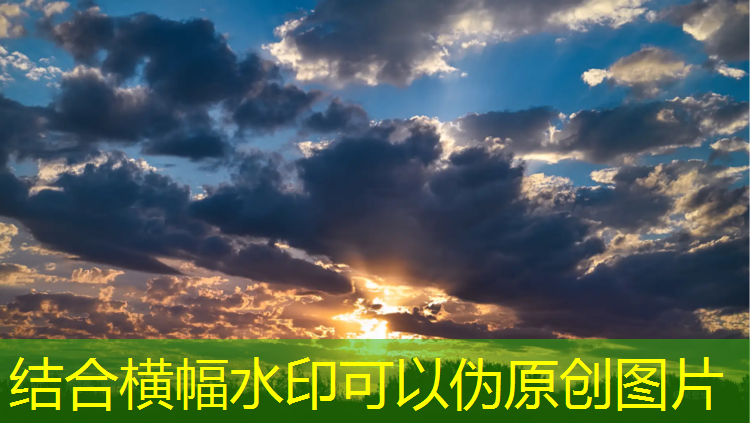 米乐：室内健身用什么垫好