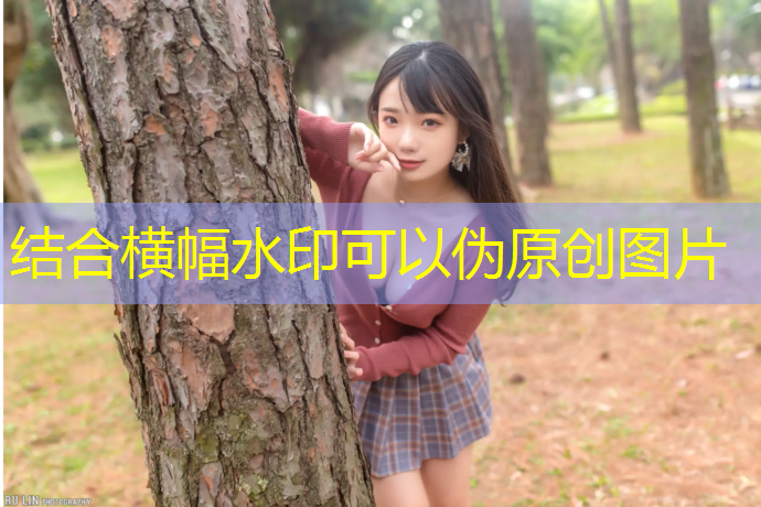 室内健身基本入门动作